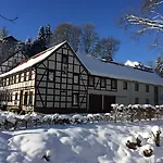 Hotel Gelpkes Muehle 3*