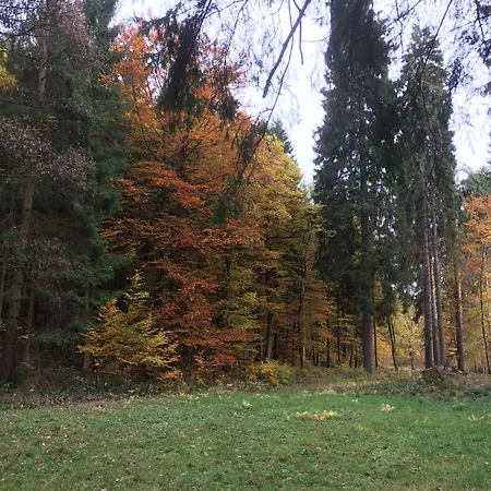 Hotel Gelpkes Muehle Bad Sachsa