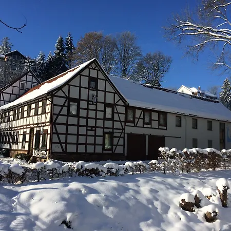 Hotel Gelpkes Muehle 3*