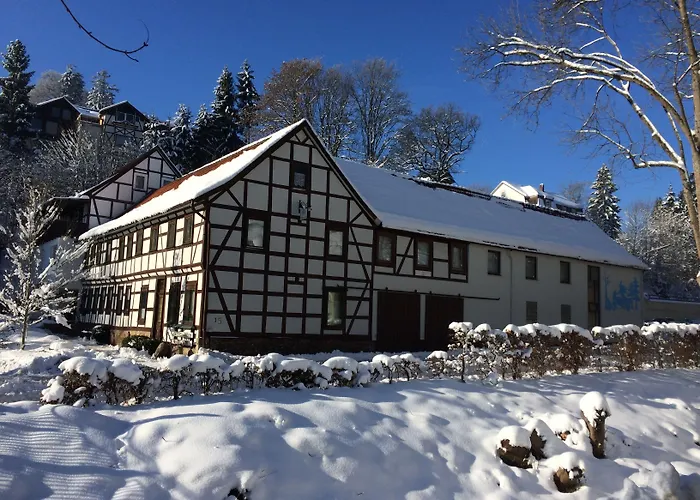 Hotel Gelpkes Muehle 3*