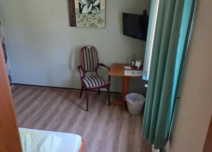 Hotel Gelpkes Muehle 3*