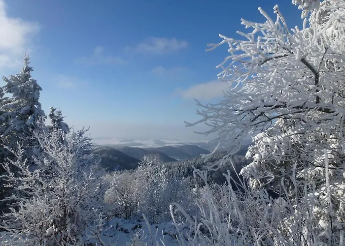 Gelpkes Muehle 3* Bad Sachsa
