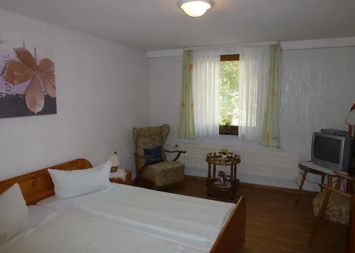 Hotel Gelpkes Muehle Bad Sachsa